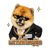 882525328
