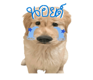 882525537