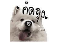 882525538