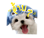 882525539