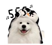 882525541