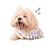 882529927