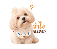 882529930