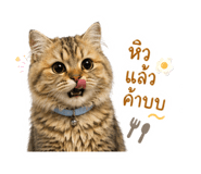 882530125