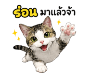 882531065