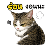 882531067