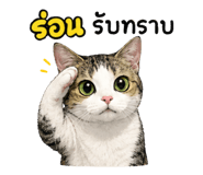 882531069