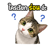 882531079