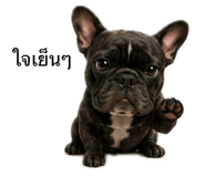 882531121