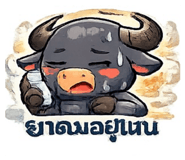 882531165