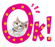 882531198