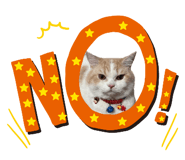 882531199
