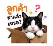 882531668