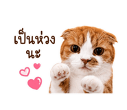 882533534