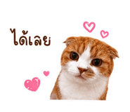 882533540