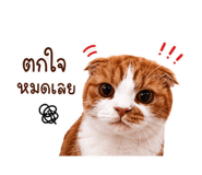 882533542