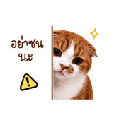 882533545