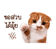 882533547