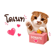 882533553