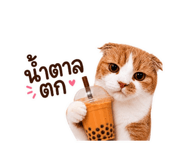 882533557