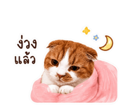 882533559