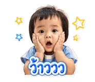 882542206