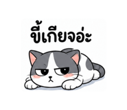 882546394