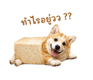 882549585