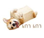 882549587