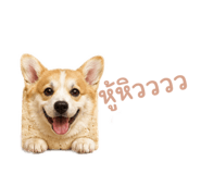 882549588