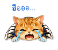 882549948
