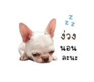 882562432
