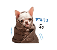 882562435