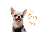 882562440