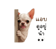 882562446