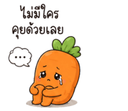 882563054