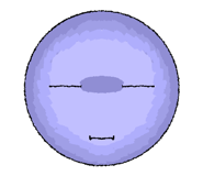 882570988