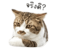 882571071