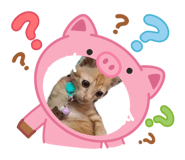 882591386