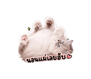 882599387