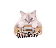 882599391