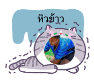882600061