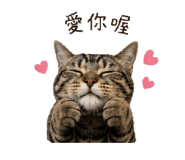 882611202