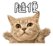 882613030