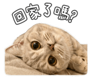 882613032