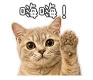 882613034