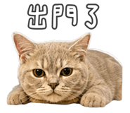 882613035