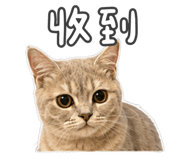 882613041