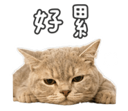882613042