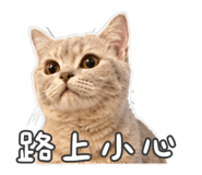 882613046